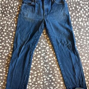 Wrangler Men's Deep Blue Skinny Jeans